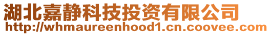 湖北嘉靜科技投資有限公司