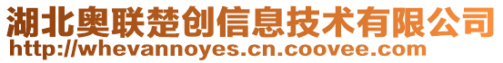 湖北奧聯楚創(chuàng)信息技術有限公司