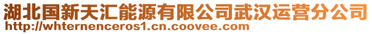 湖北國(guó)新天匯能源有限公司武漢運(yùn)營(yíng)分公司