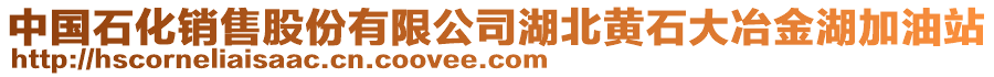 中國石化銷售股份有限公司湖北黃石大冶金湖加油站