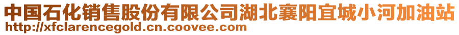 中國石化銷售股份有限公司湖北襄陽宜城小河加油站