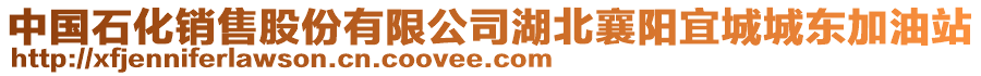 中國石化銷售股份有限公司湖北襄陽宜城城東加油站