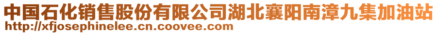 中國石化銷售股份有限公司湖北襄陽南漳九集加油站