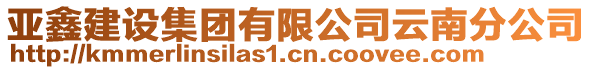 亞鑫建設集團有限公司云南分公司