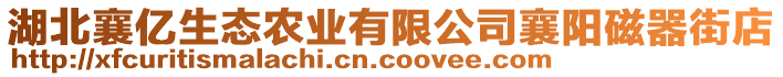 湖北襄億生態(tài)農(nóng)業(yè)有限公司襄陽磁器街店