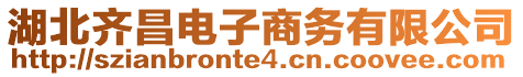 湖北齊昌電子商務有限公司