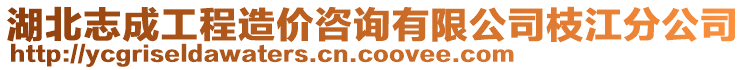 湖北志成工程造價(jià)咨詢有限公司枝江分公司