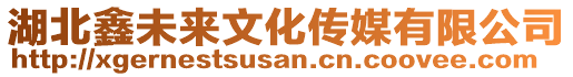 湖北鑫未來文化傳媒有限公司