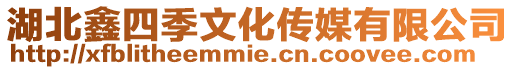 湖北鑫四季文化傳媒有限公司