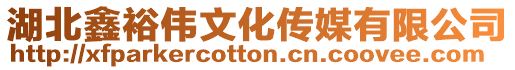 湖北鑫裕偉文化傳媒有限公司