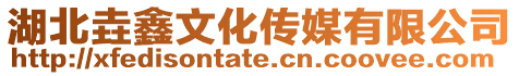 湖北垚鑫文化傳媒有限公司