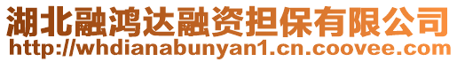 湖北融鴻達(dá)融資擔(dān)保有限公司