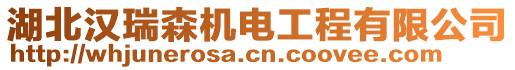 湖北漢瑞森機(jī)電工程有限公司