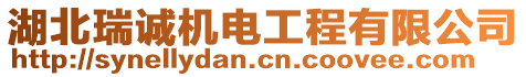 湖北瑞誠機電工程有限公司