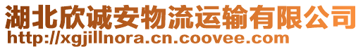 湖北欣誠安物流運輸有限公司