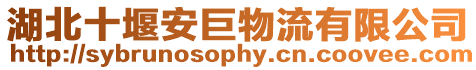 湖北十堰安巨物流有限公司