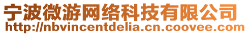 寧波微游網絡科技有限公司