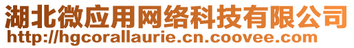 湖北微應用網絡科技有限公司