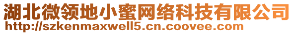 湖北微領(lǐng)地小蜜網(wǎng)絡(luò)科技有限公司