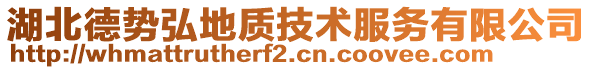 湖北德勢弘地質(zhì)技術(shù)服務(wù)有限公司