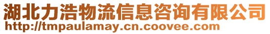 湖北力浩物流信息咨詢有限公司
