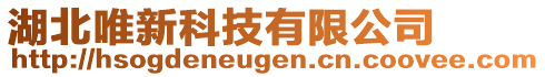 湖北唯新科技有限公司