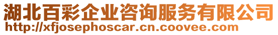 湖北百彩企業(yè)咨詢服務(wù)有限公司