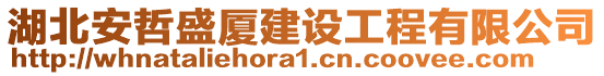 湖北安哲盛廈建設(shè)工程有限公司