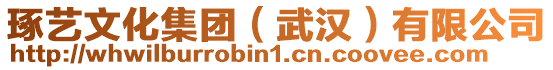 琢藝文化集團(tuán)(武漢)有限公司