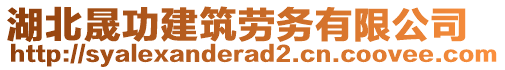湖北晟功建筑勞務有限公司