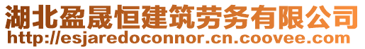 湖北盈晟恒建筑勞務有限公司