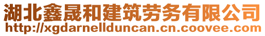 湖北鑫晟和建筑勞務有限公司