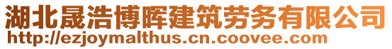 湖北晟浩博暉建筑勞務有限公司