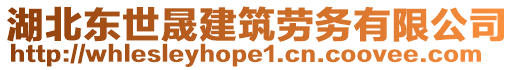 湖北東世晟建筑勞務(wù)有限公司