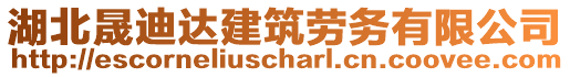 湖北晟迪達建筑勞務有限公司