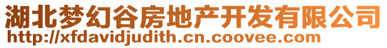 湖北夢幻谷房地產(chǎn)開發(fā)有限公司