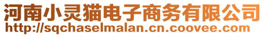 河南小靈貓電子商務(wù)有限公司