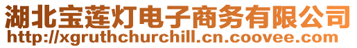 湖北寶蓮燈電子商務有限公司