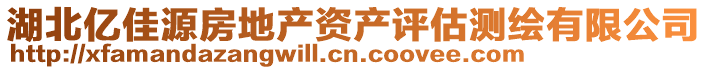 湖北億佳源房地產(chǎn)資產(chǎn)評(píng)估測(cè)繪有限公司