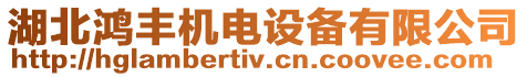 湖北鴻豐機電設備有限公司