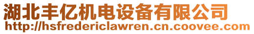 湖北豐億機(jī)電設(shè)備有限公司