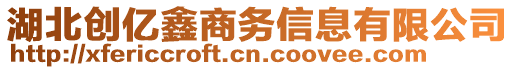 湖北創(chuàng)億鑫商務(wù)信息有限公司