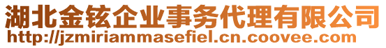 湖北金鉉企業(yè)事務(wù)代理有限公司