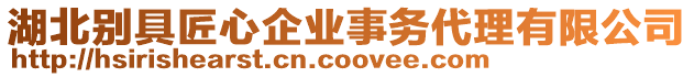 湖北別具匠心企業(yè)事務(wù)代理有限公司