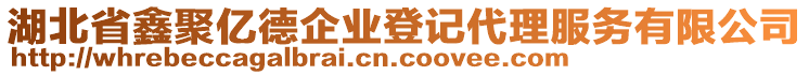 湖北省鑫聚億德企業(yè)登記代理服務(wù)有限公司