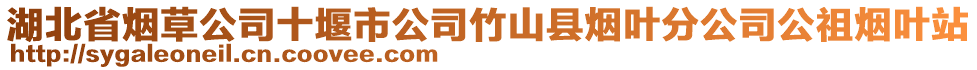 湖北省煙草公司十堰市公司竹山縣煙葉分公司公祖煙葉站