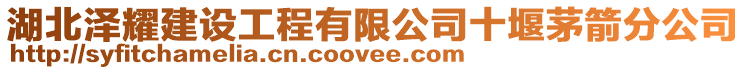 湖北澤耀建設工程有限公司十堰茅箭分公司