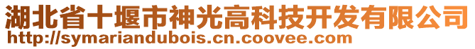 湖北省十堰市神光高科技開發(fā)有限公司