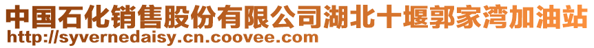 中國石化銷售股份有限公司湖北十堰郭家灣加油站