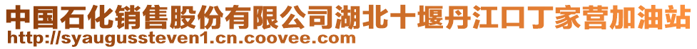 中國石化銷售股份有限公司湖北十堰丹江口丁家營加油站